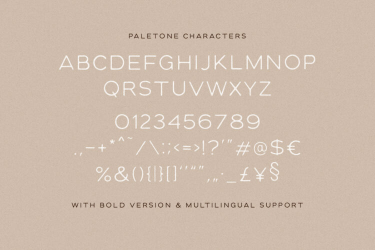 Paletone - Hand Lettered Sans - Image 2