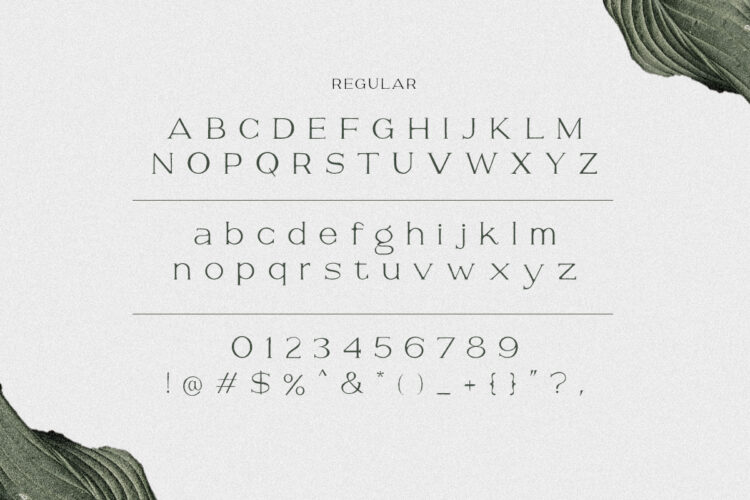 Savoire - Hand Lettered Serif - Image 2