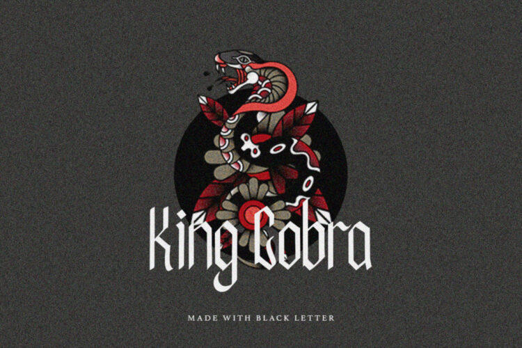 Black Stock - Blackletter Font - Image 5