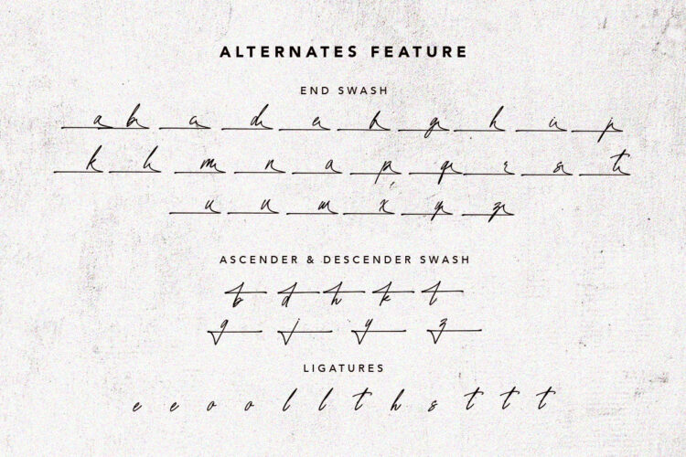 Raleigh Handwriting - Signature Font - Image 6