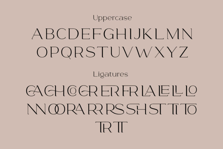 Glamost - Modern Ligature font - Image 5