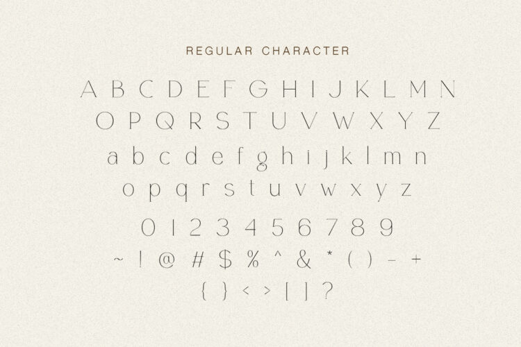 Retrophile - Elegant Light Serif - Image 9