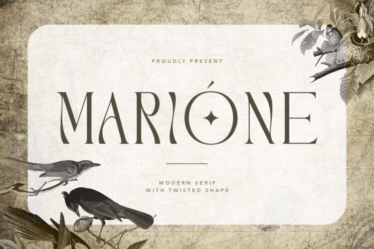 Marione - Twisted Modern Serif