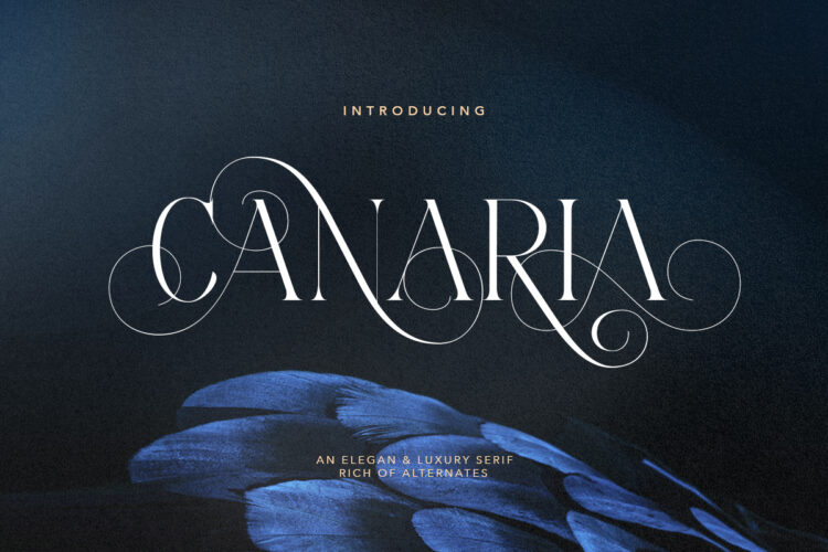 Canaria - Fancy Light Serif