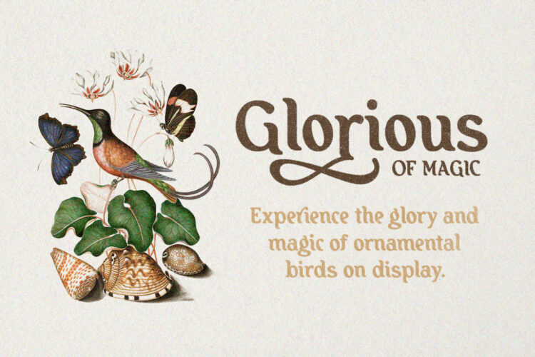 Sprinkle Beauty - Display Bold Font - Image 2
