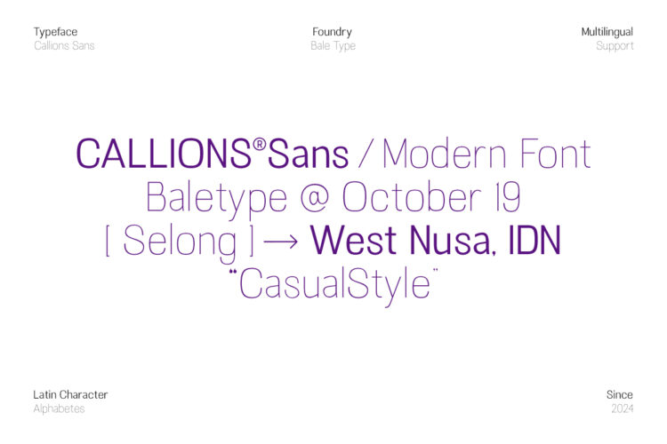 Callions - Sans Serif Family - Image 8