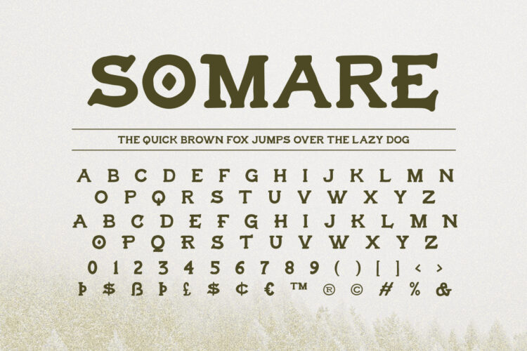 Somare - Hand Lettered Slab Serif - Image 9