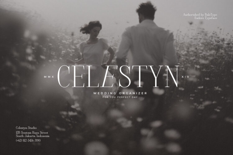 Eaudore - Classy Tall Serif - Image 8