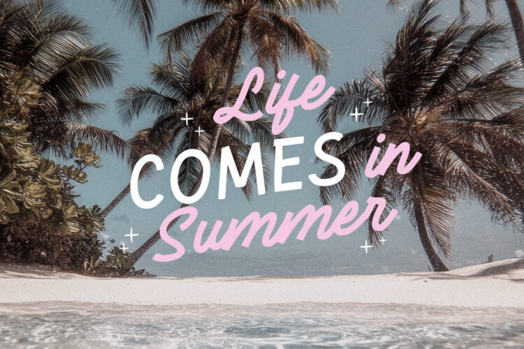 Tourist Guide - Holiday Font Duo - Image 7