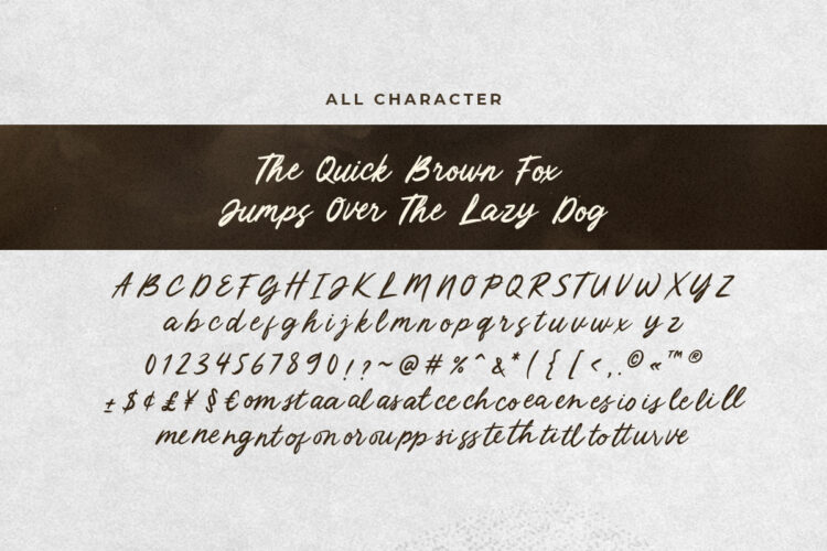 Silly Claire - Bold Handwritten - Image 9