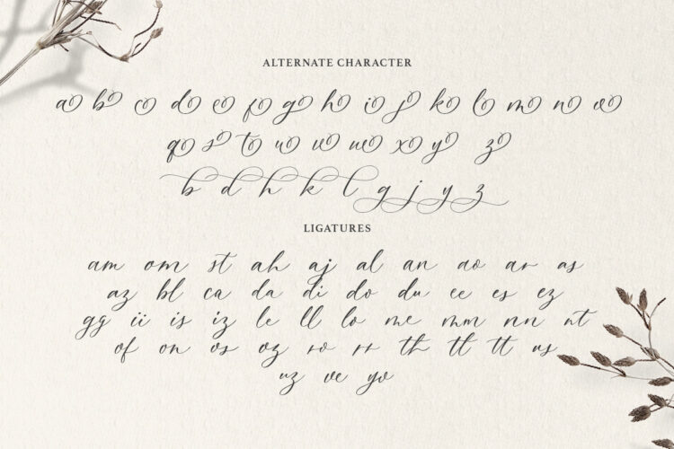 Dearly Heart - Feminine Script - Image 10