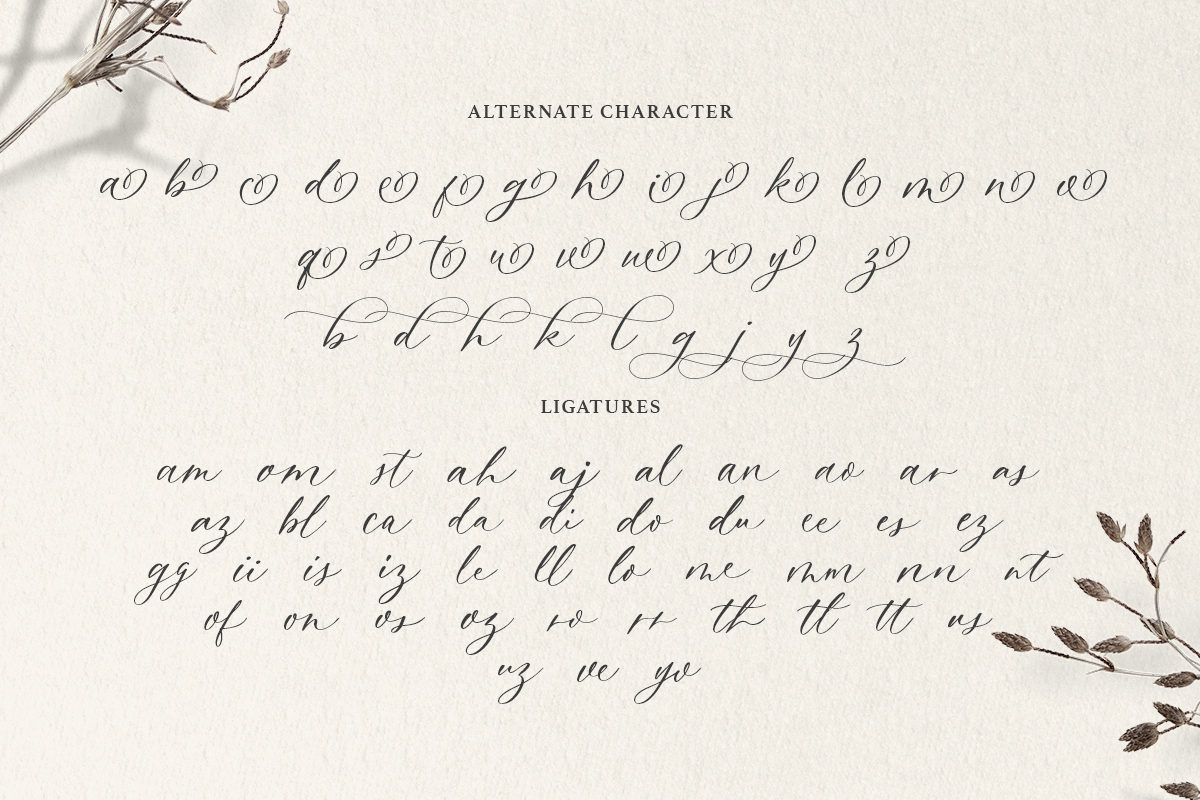 Dearly Heart - Feminine Script - Image 10