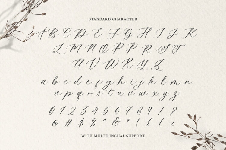 Dearly Heart - Feminine Script - Image 9