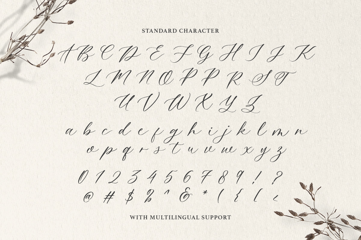Dearly Heart - Feminine Script - Image 9