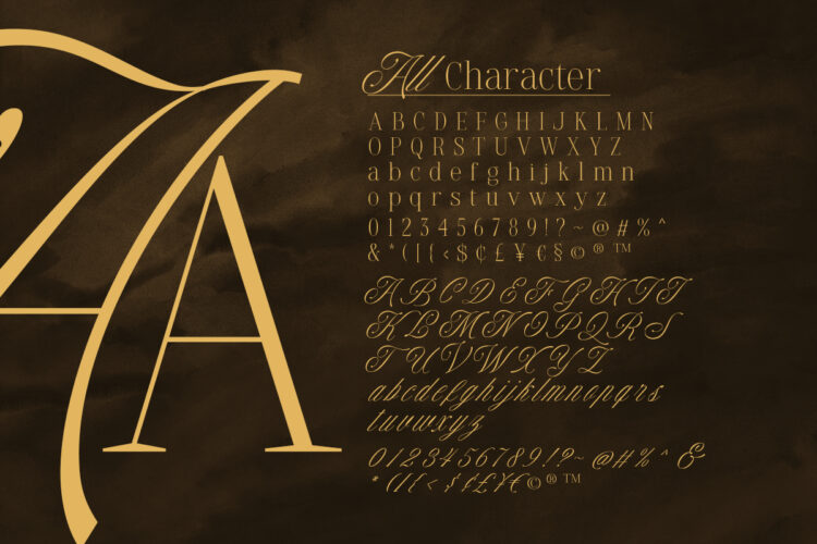 Comport Beauty - Classy Font Duo - Image 10