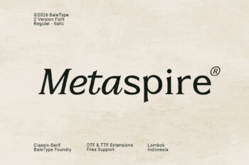 Metaspire - Modern Display Serif