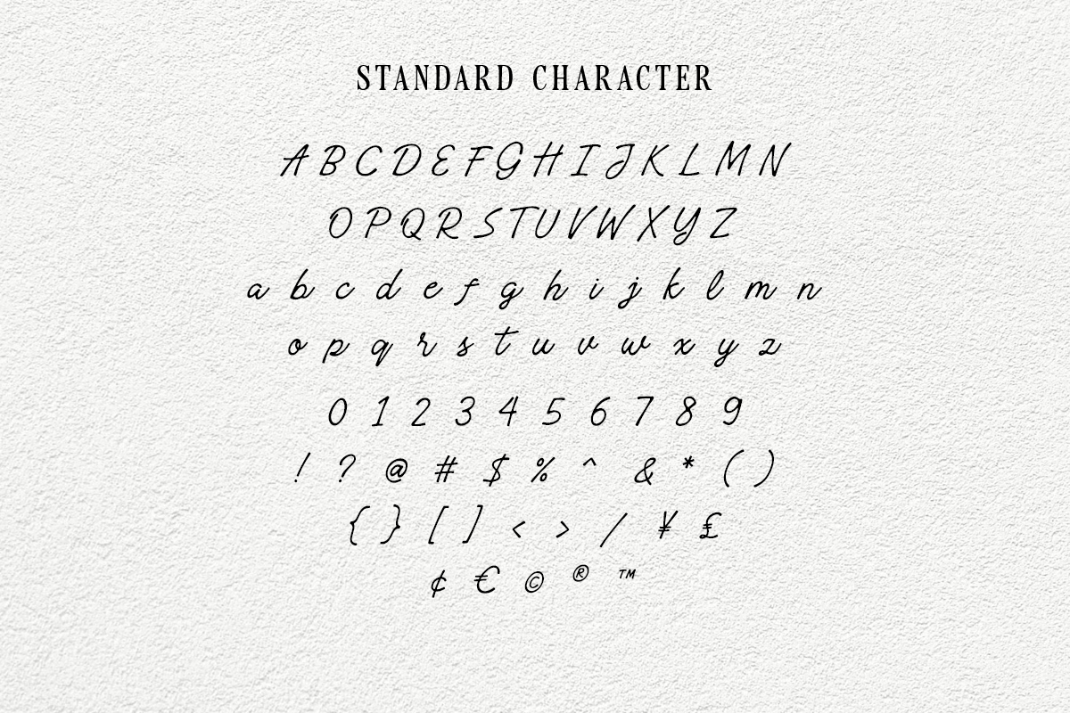 Messy Angelic - Handwritten Script - Image 11
