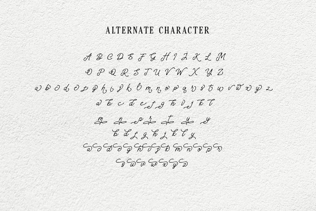 Messy Angelic - Handwritten Script - Image 12